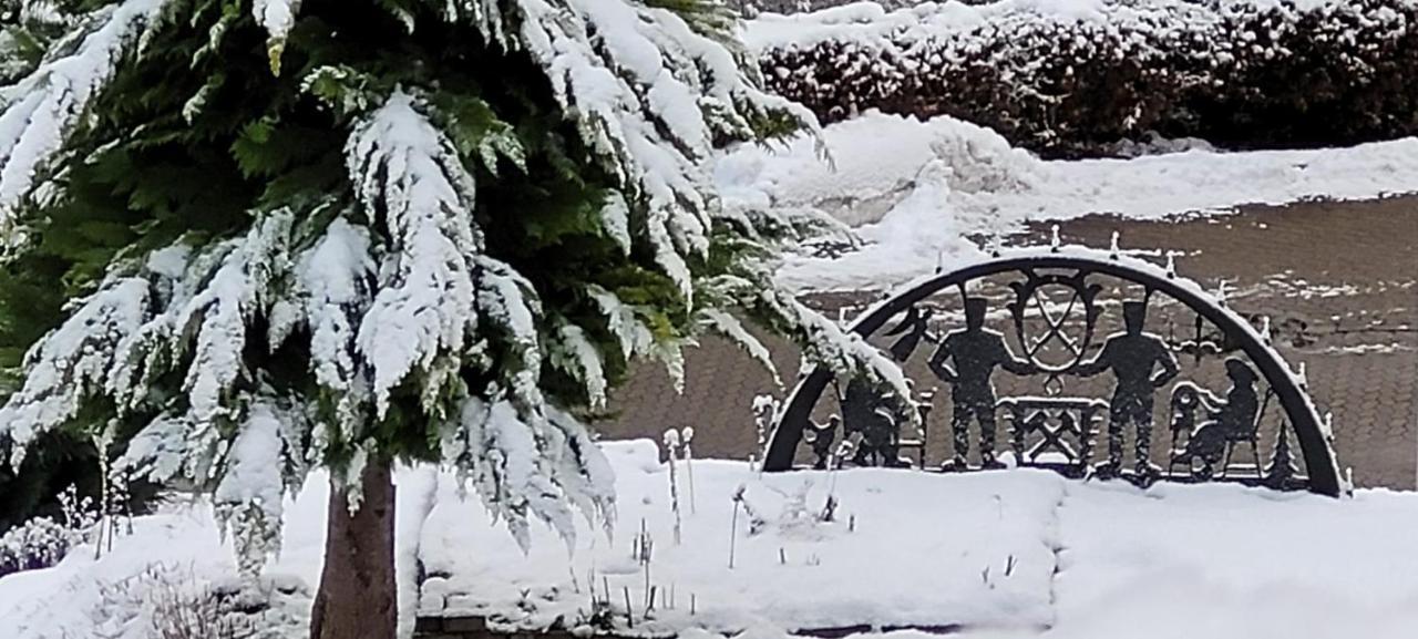 Fewo Harz Haennig 1 Wieda Esterno foto