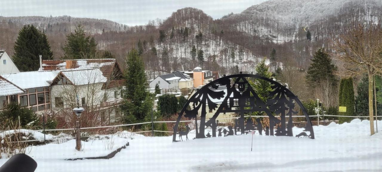 Fewo Harz Haennig 1 Wieda Esterno foto