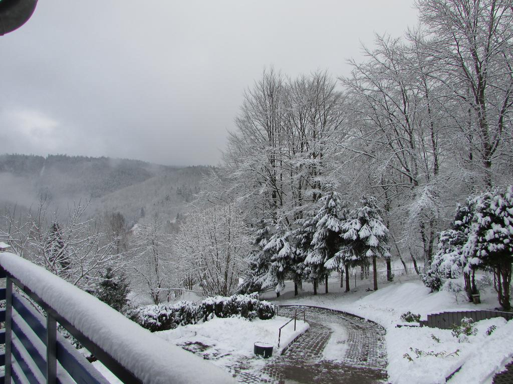 Fewo Harz Haennig 1 Wieda Esterno foto