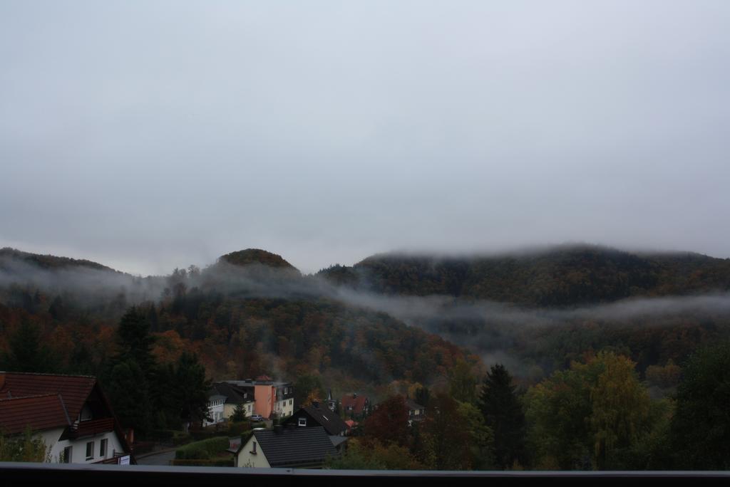 Fewo Harz Haennig 1 Wieda Esterno foto