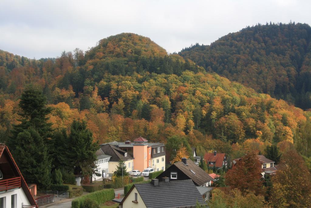 Fewo Harz Haennig 1 Wieda Esterno foto